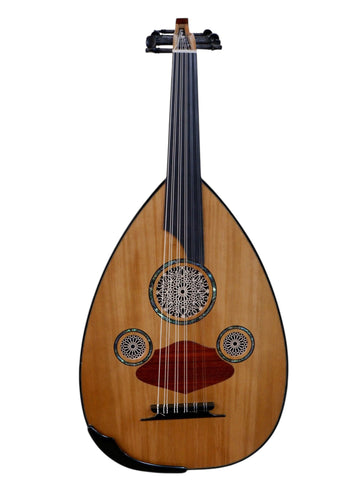 MS-10 SULTAN PROFESYONEL UD