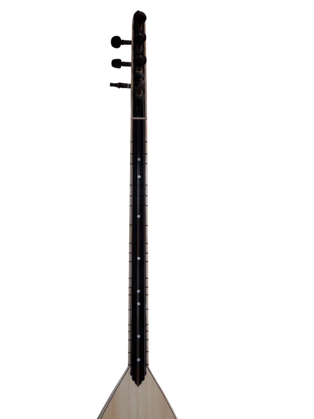 Ardıç Kısa Sap Profesyonel Bağlama - SLT101