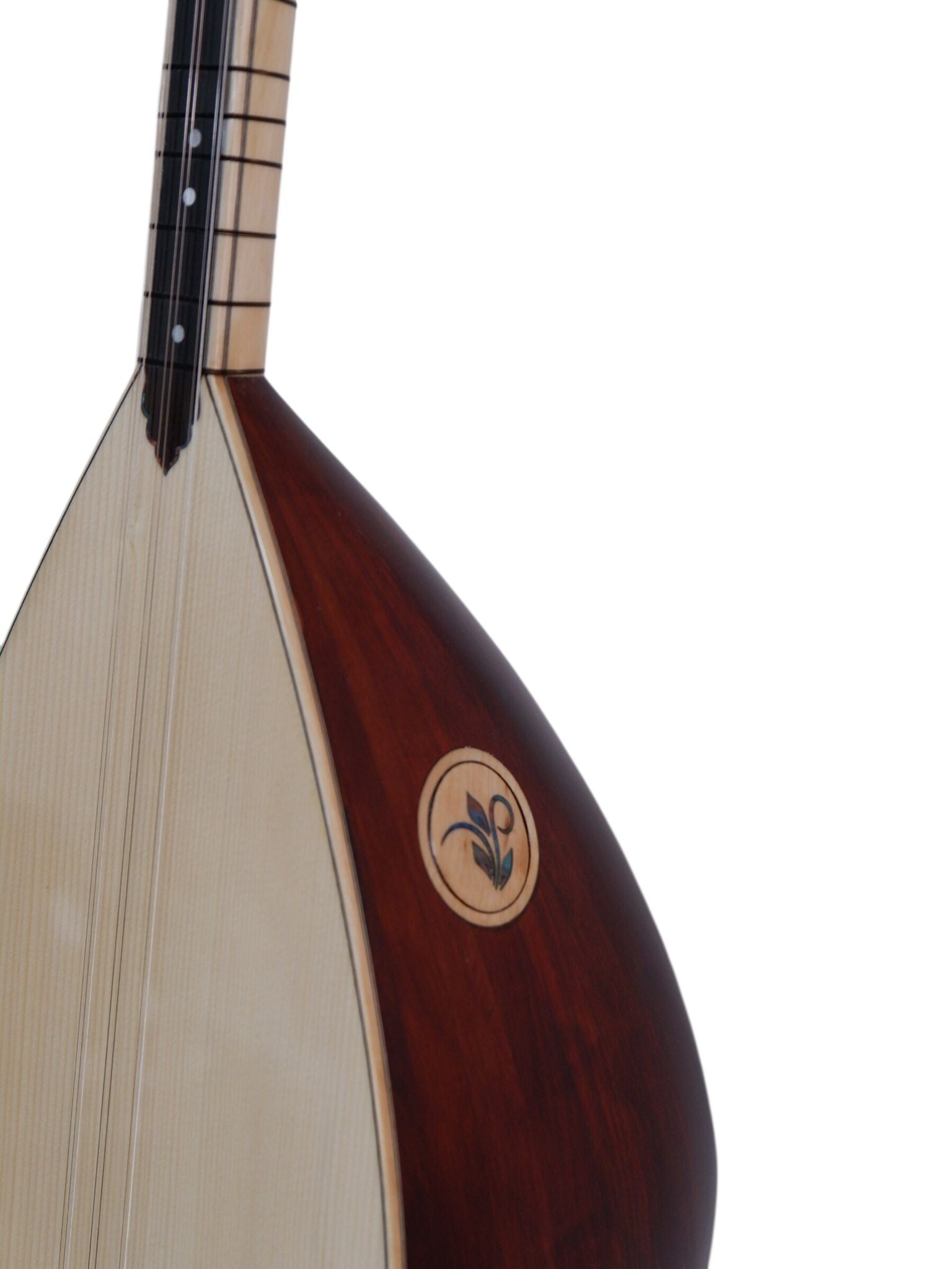 Ardıç Uzun Sap Solak Profesyonel Bağlama - SLT112