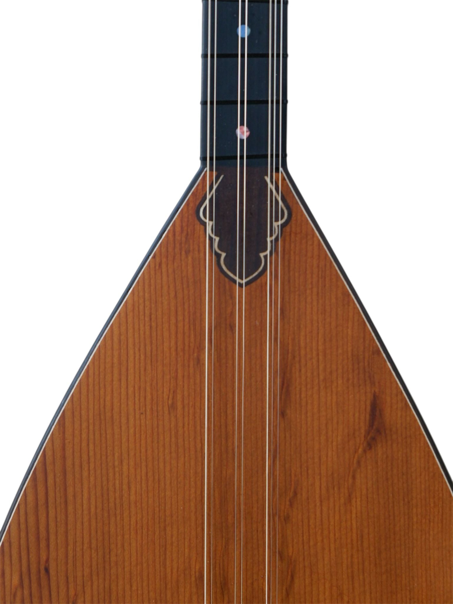 Dut Tekne Uzun Sap Profesyonel Bağlama ( Videolu ) - SLT210