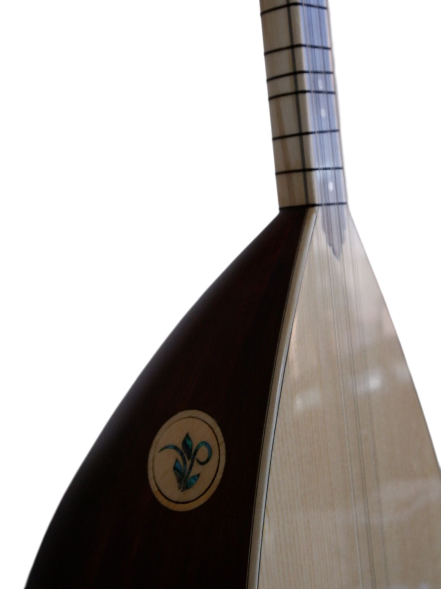 Ardıç Uzun Sap Profesyonel Bağlama - SLT108