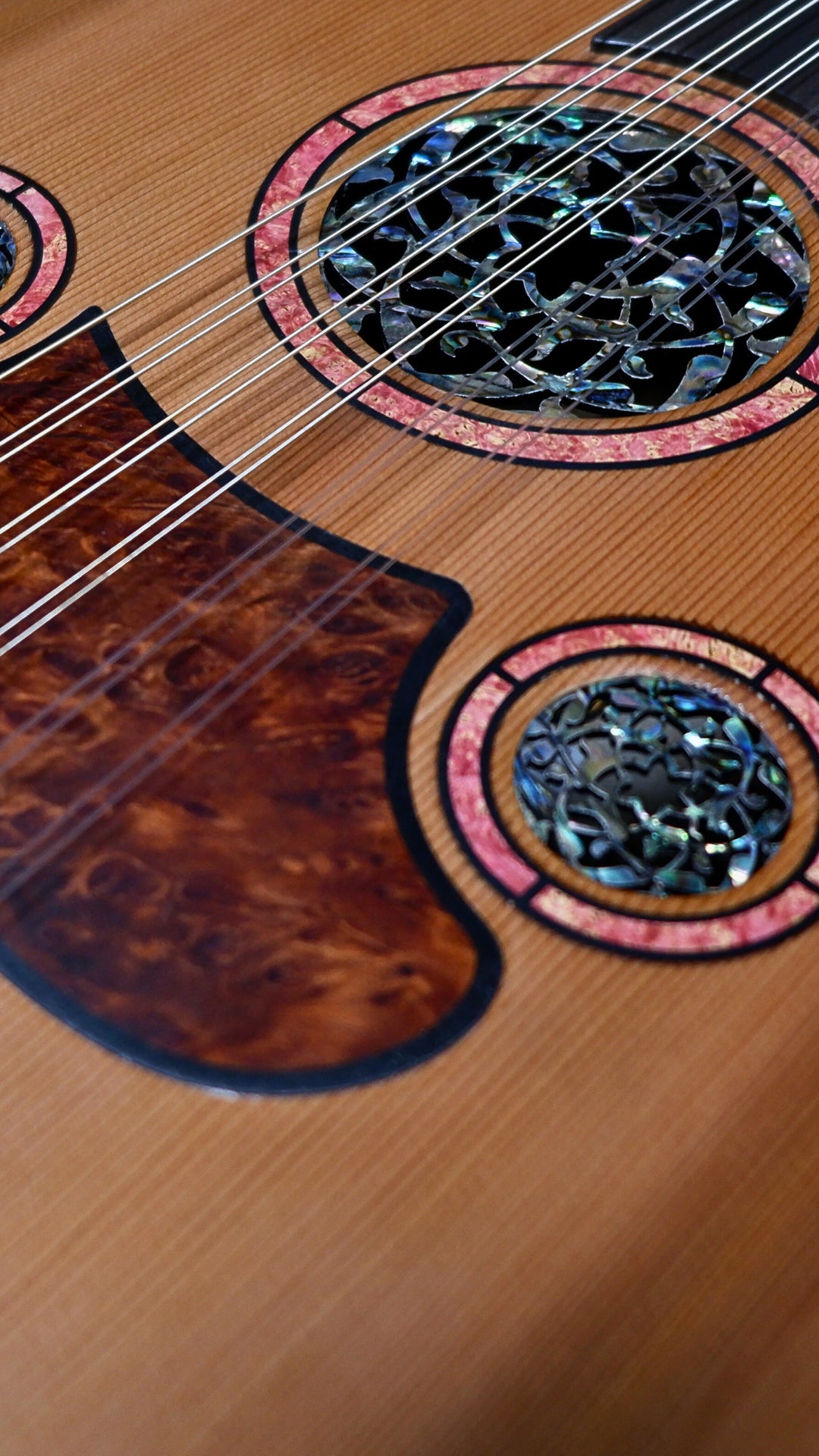 OASİS Model Vengi Ud