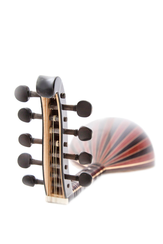 Türk Lavtası - Türk Lautası