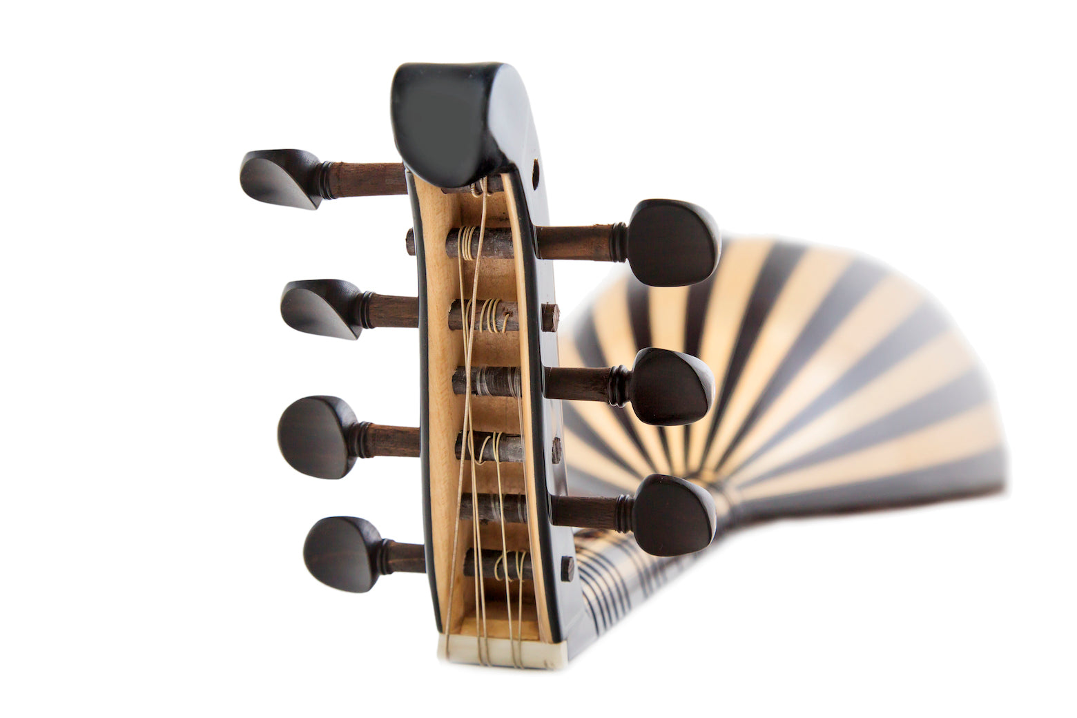 Türk Lavtası - Türk Lautası