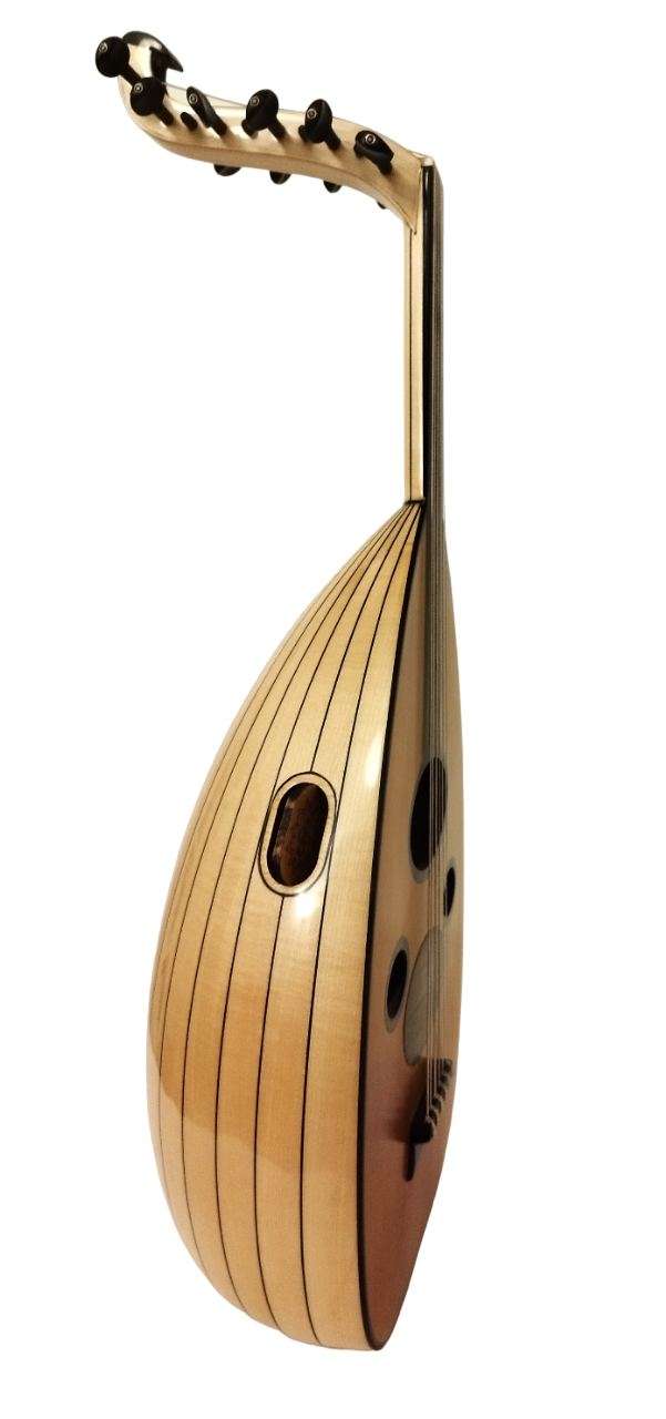 Bashir Fusion Sabit Eşikli Ud