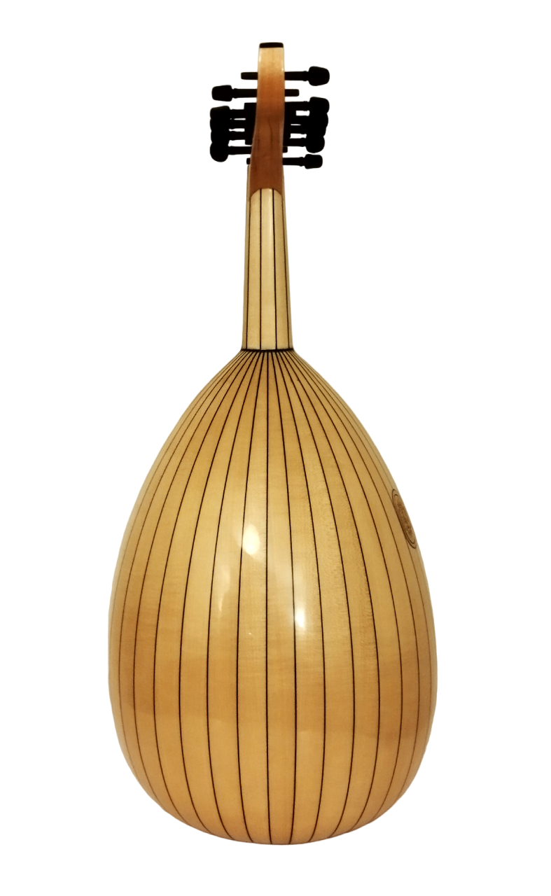 Bashir Fusion Sabit Eşikli Ud