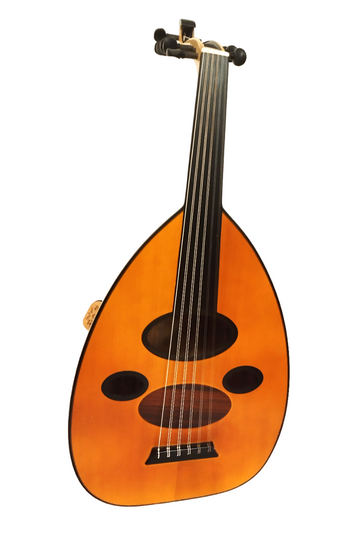 Bashir Fusion Sabit Eşikli Ud