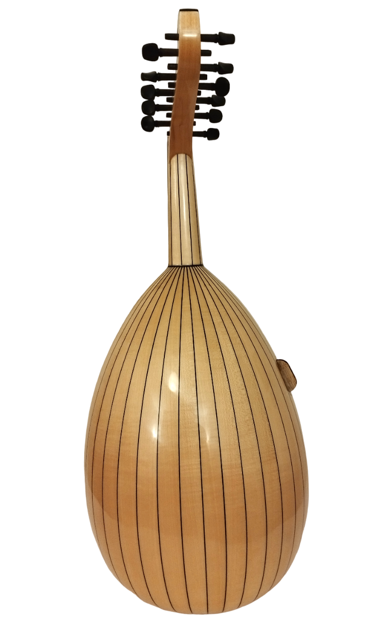 Bashir Fusion Sabit Eşikli Ud