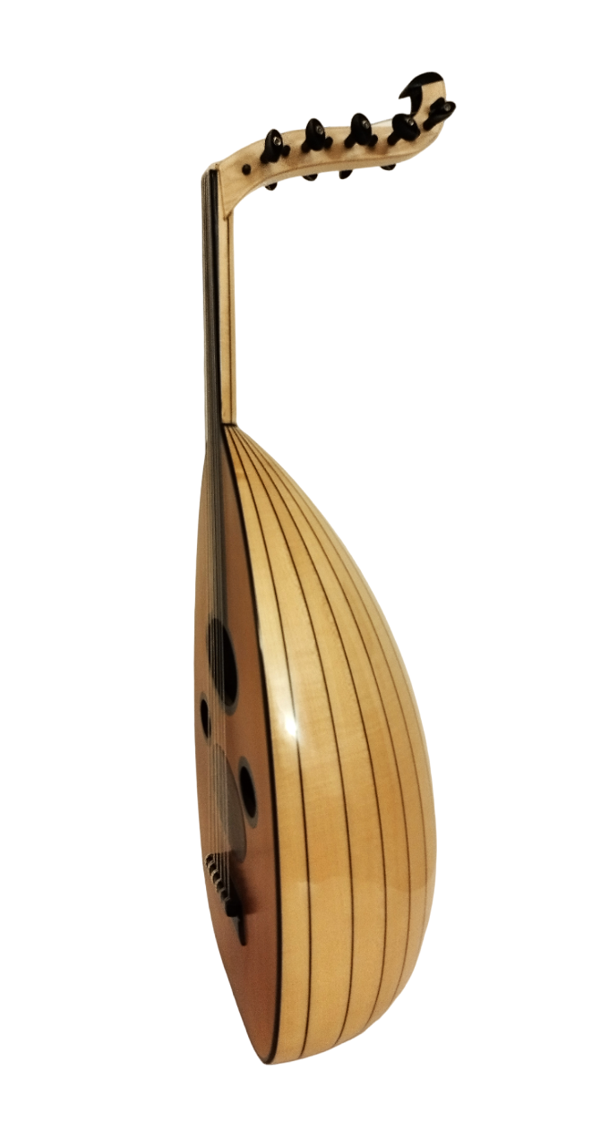 Bashir Plus Sabit Eşikli Ud