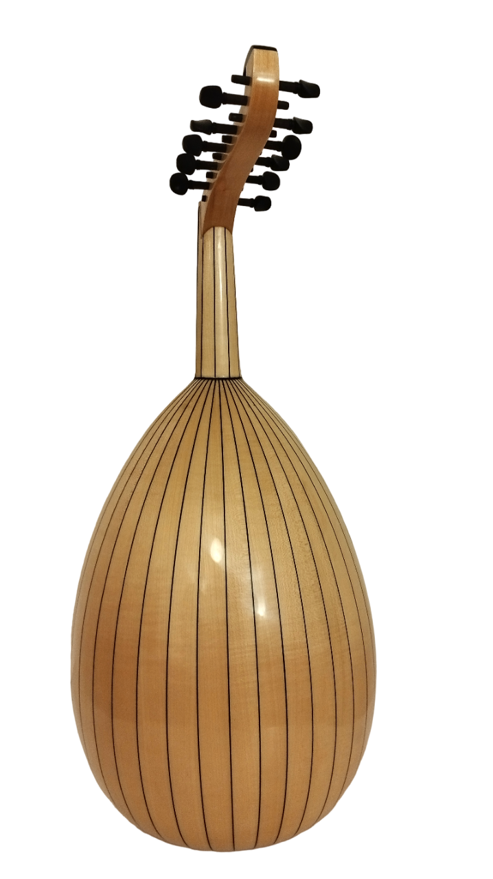 Bashir Plus Sabit Eşikli Ud