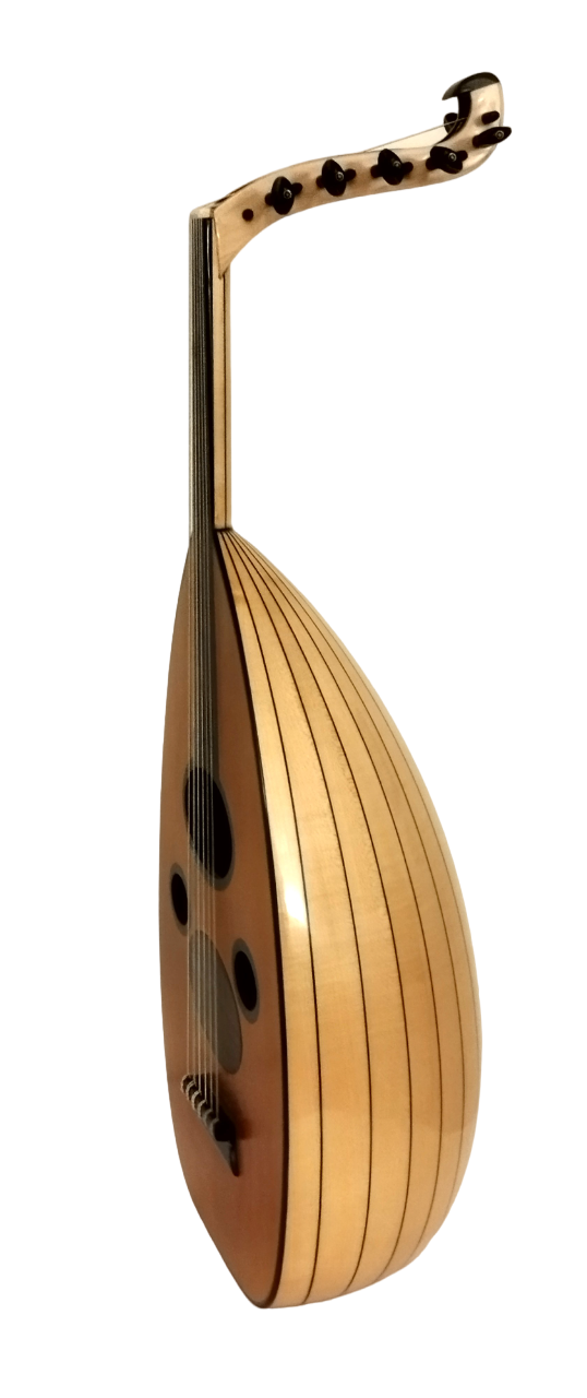 Bashir Plus Sabit Eşikli Ud