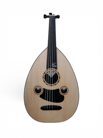 ST Elektro-Akustik UD