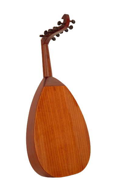 Bashir Akustik/Elektrik Ud