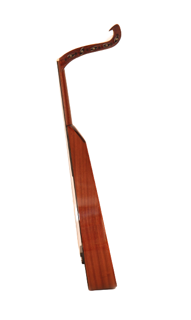 Bashir Akustik/Elektrik Ud