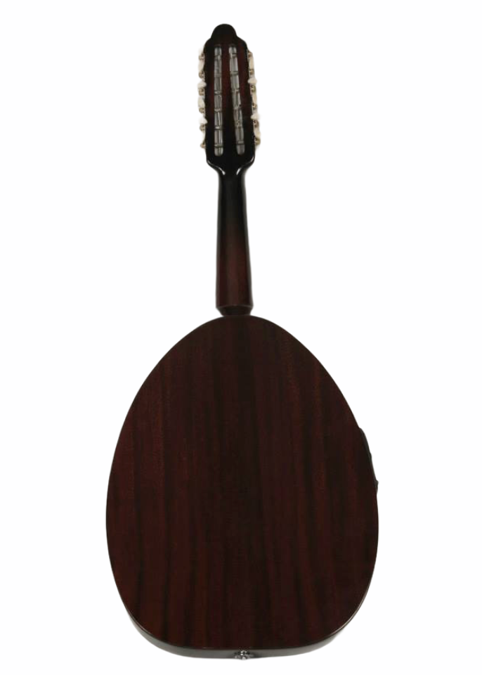 Başlangıç Seviyesi Yarım Kesim Ud