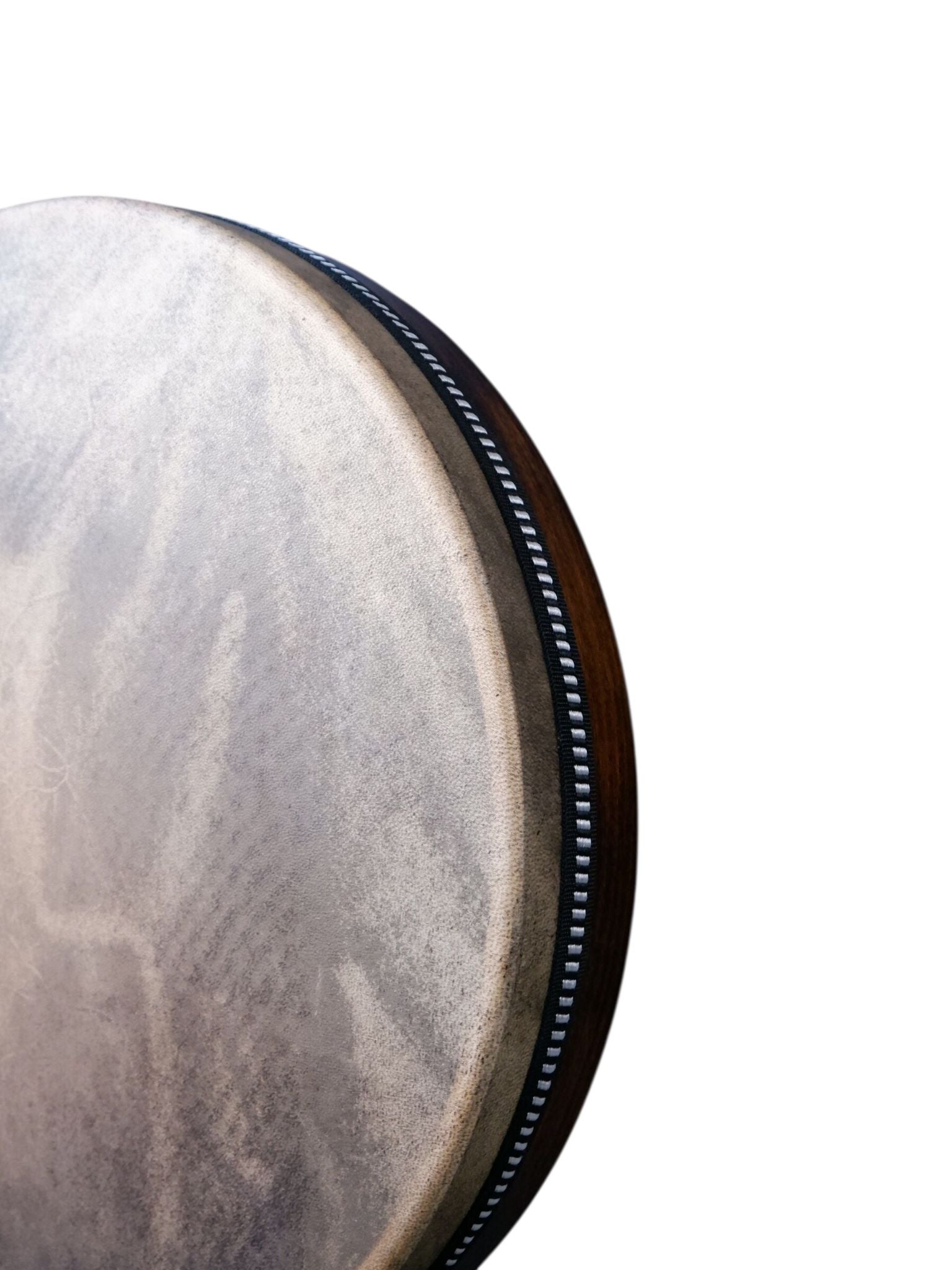 بندير جلد السمك الاحترافي