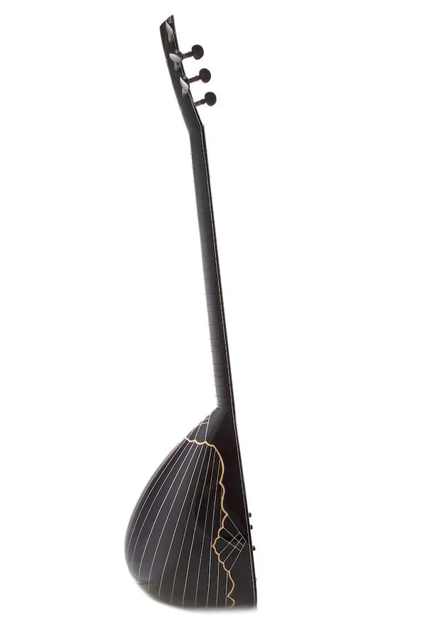 Profesyonel Elektro Bağlama