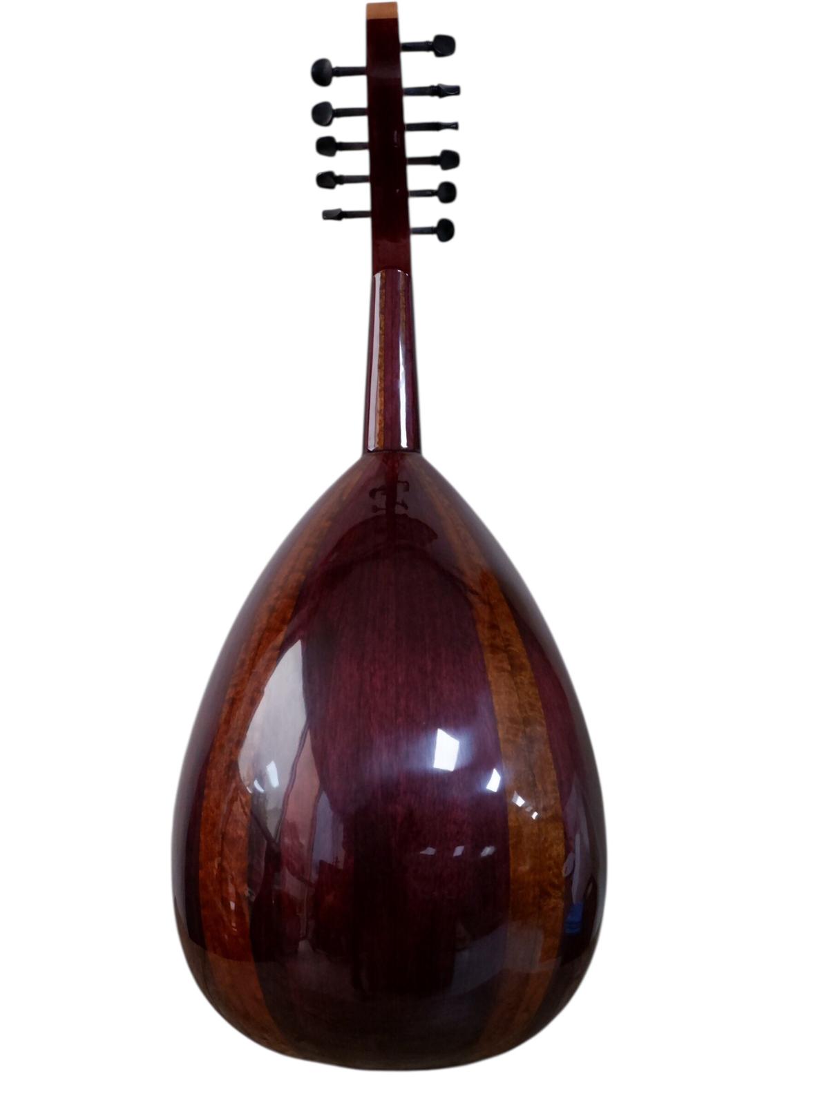 MS-14 Profesyonel Ud