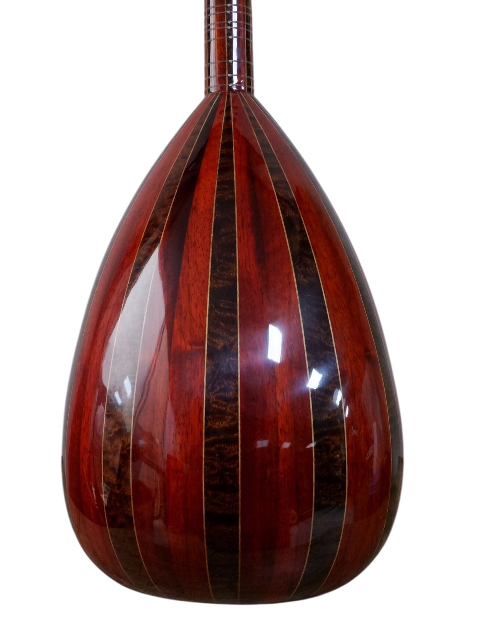 MS PROFESYONEL LAVTA