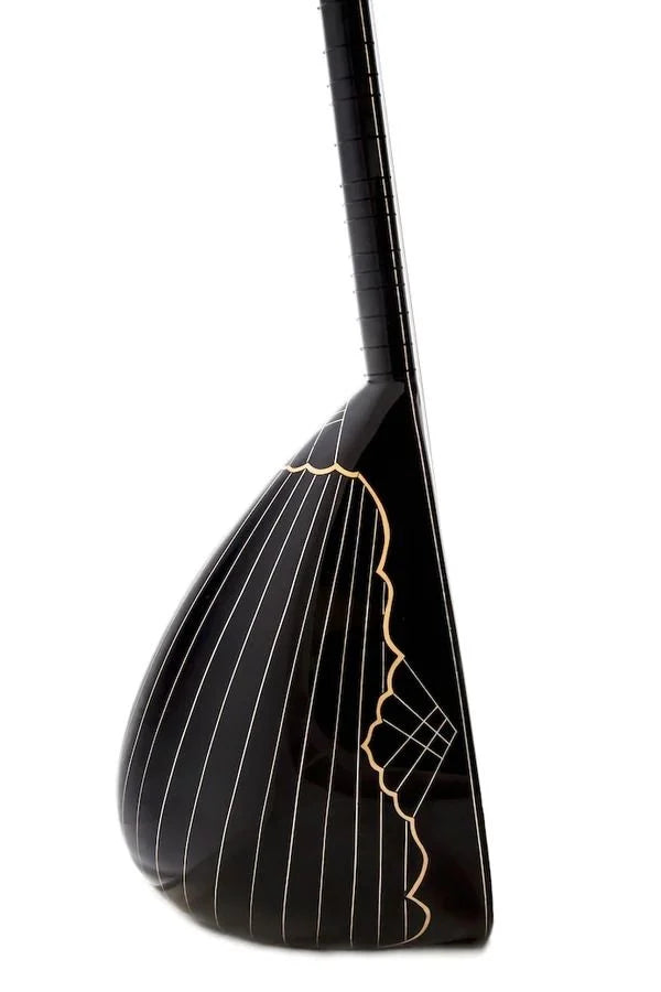 Profesyonel Elektro Bağlama