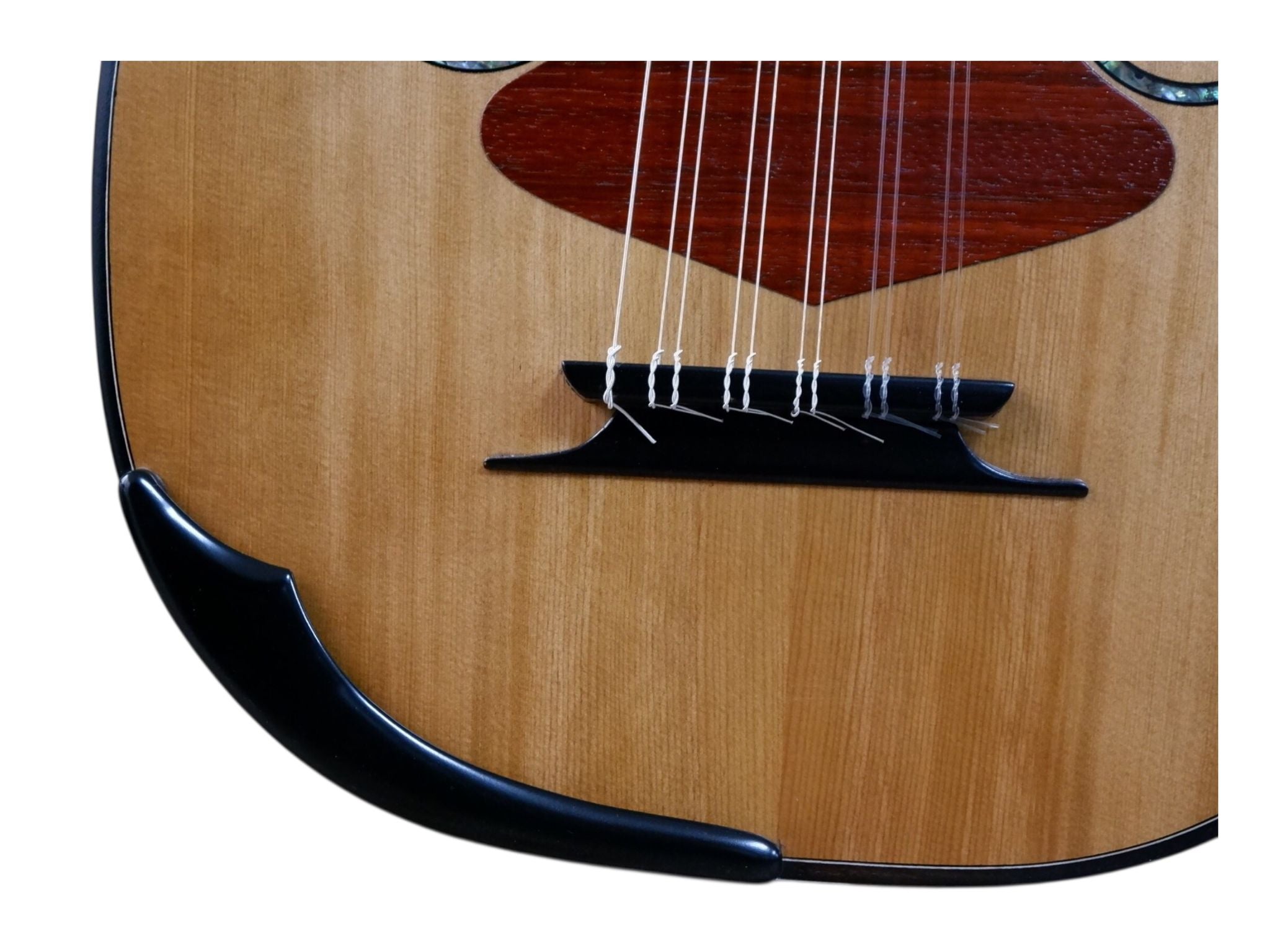 MS-10 SULTAN PROFESYONEL UD