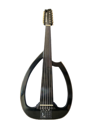 Sultan Elektro İskelet Ud