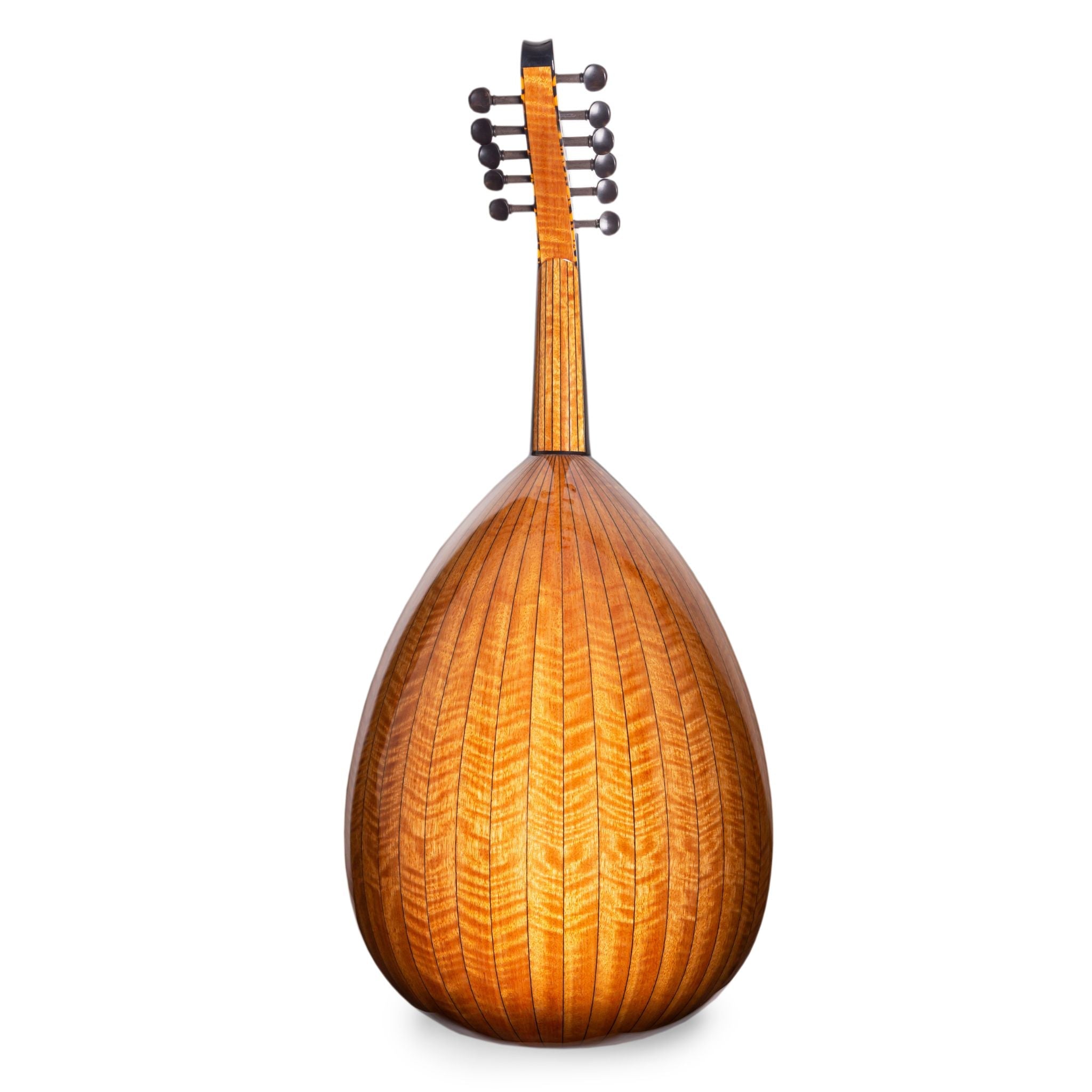 OASIS Walnut Rosewood Oud