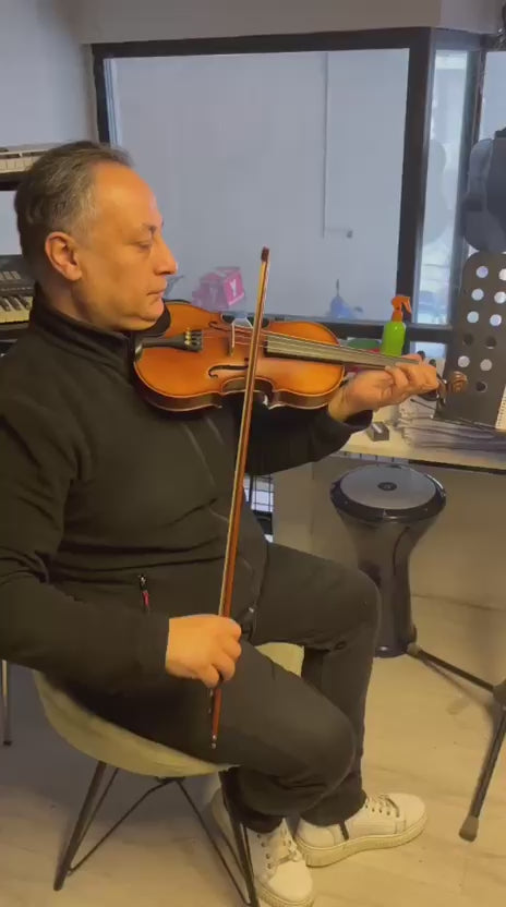 AIERSI SGV015M STUDENT VIOLIN 4/4 