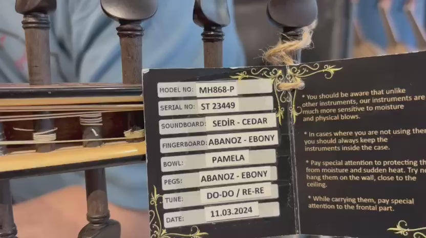 MH868 PROFESSIONAL UD