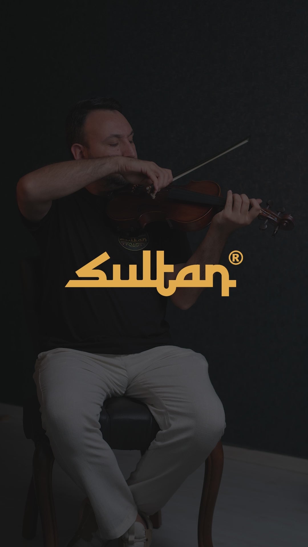 Aiersi 4/4 Profesyonel Keman Mvt 700