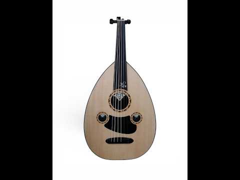 ST Elektro-Akustik UD