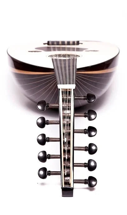 MH400 PROFESYONEL UD