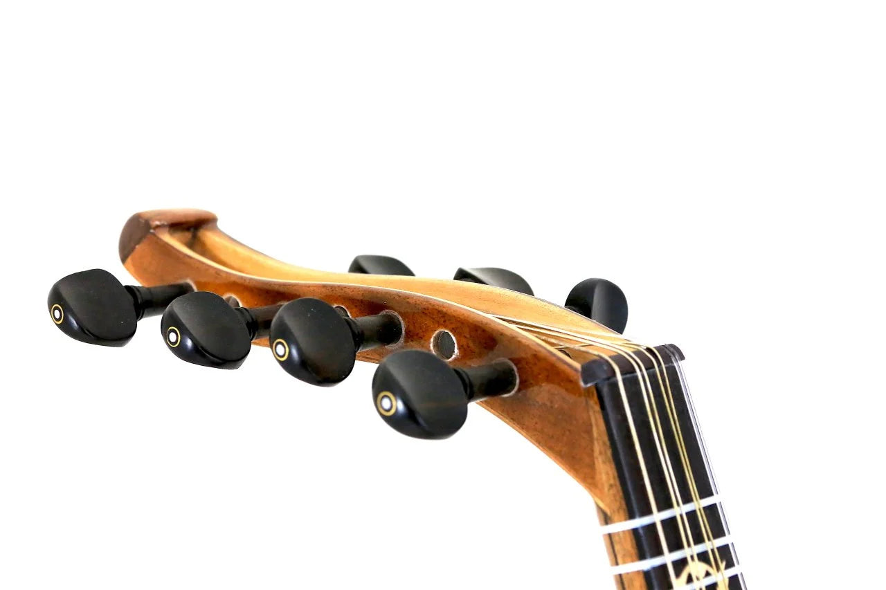 Sultan Maun Ceviz Türk Lavtası